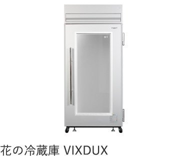 花の冷蔵庫 VIXDUX